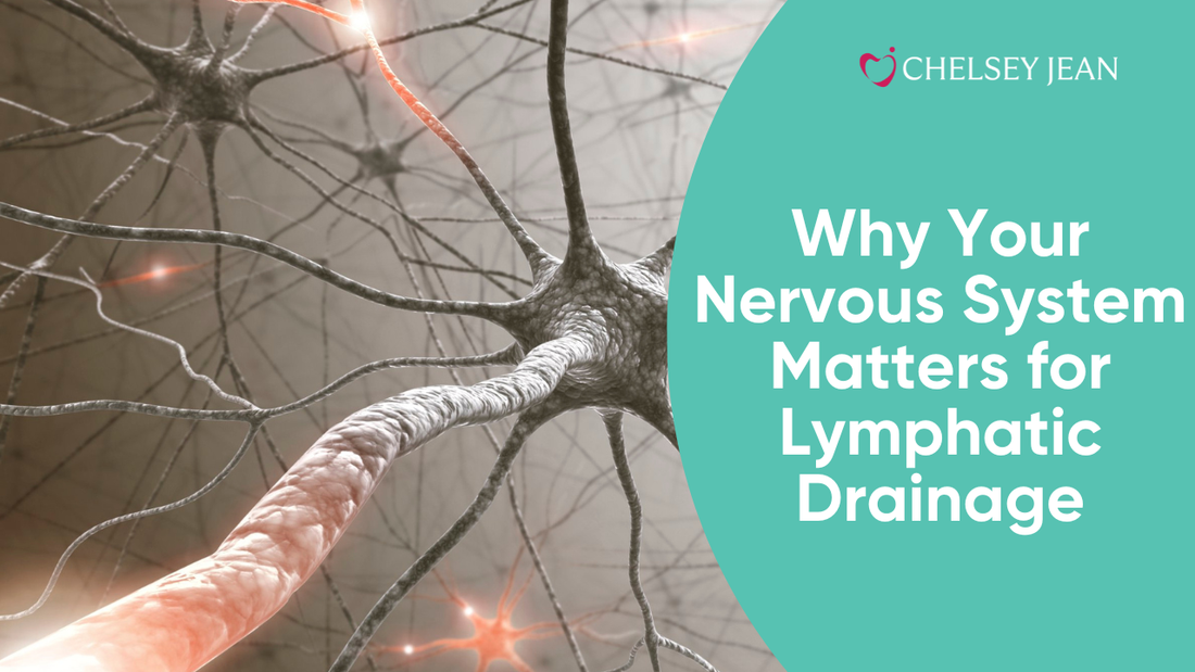 Why Your Nervous System Matters for Lymphatic Drainage